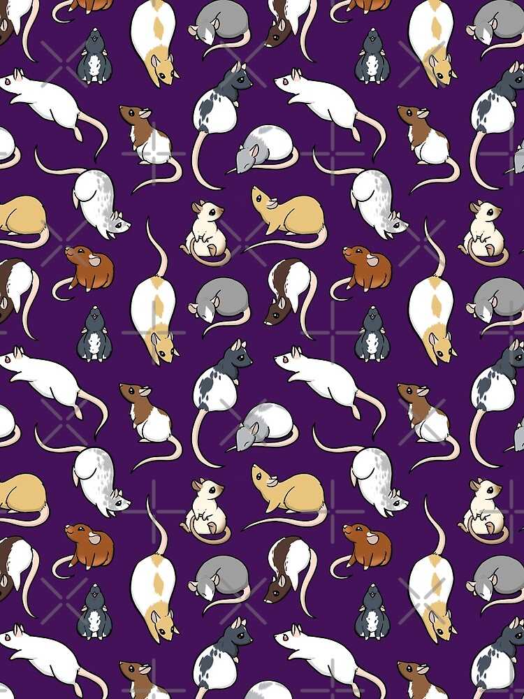 Rats by bgolins