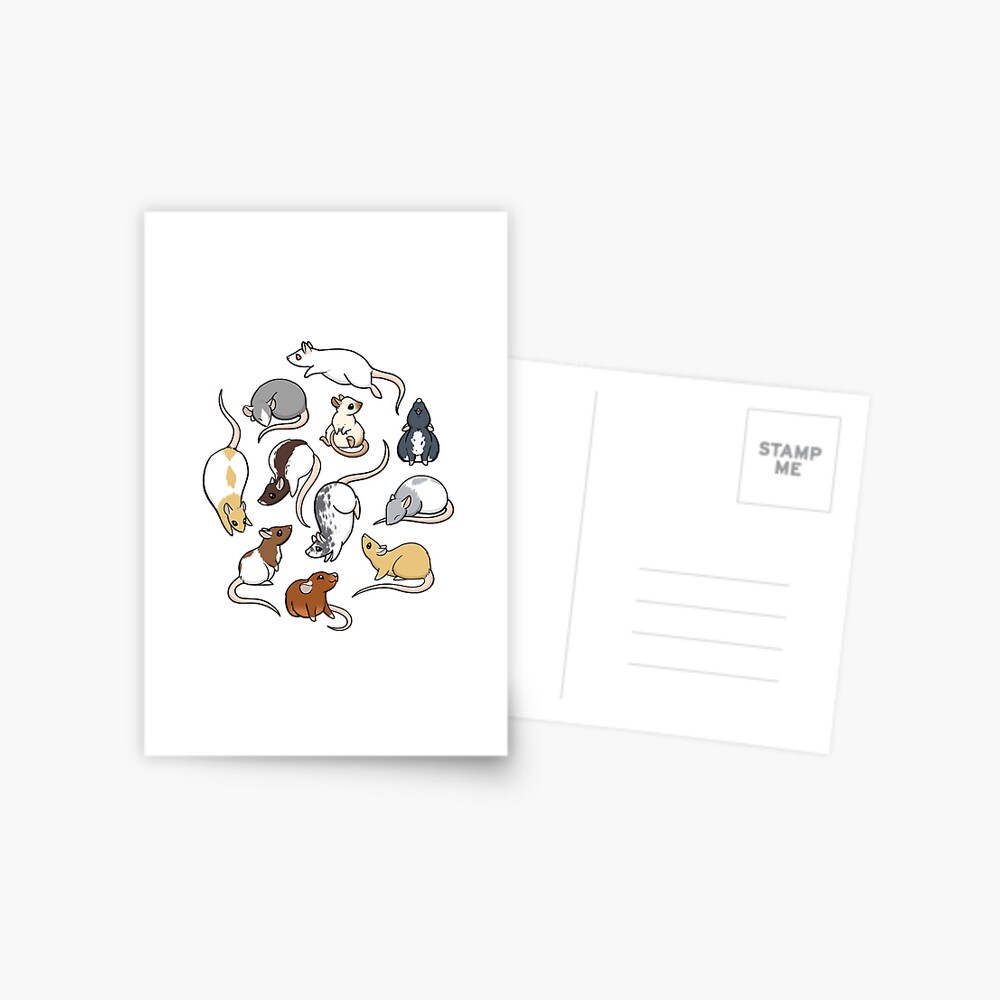 Rats Postcard