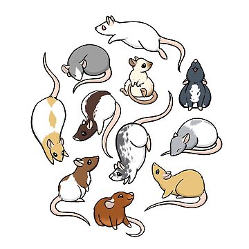 Artwork thumbnail, Rats by Dragons and Beasties
