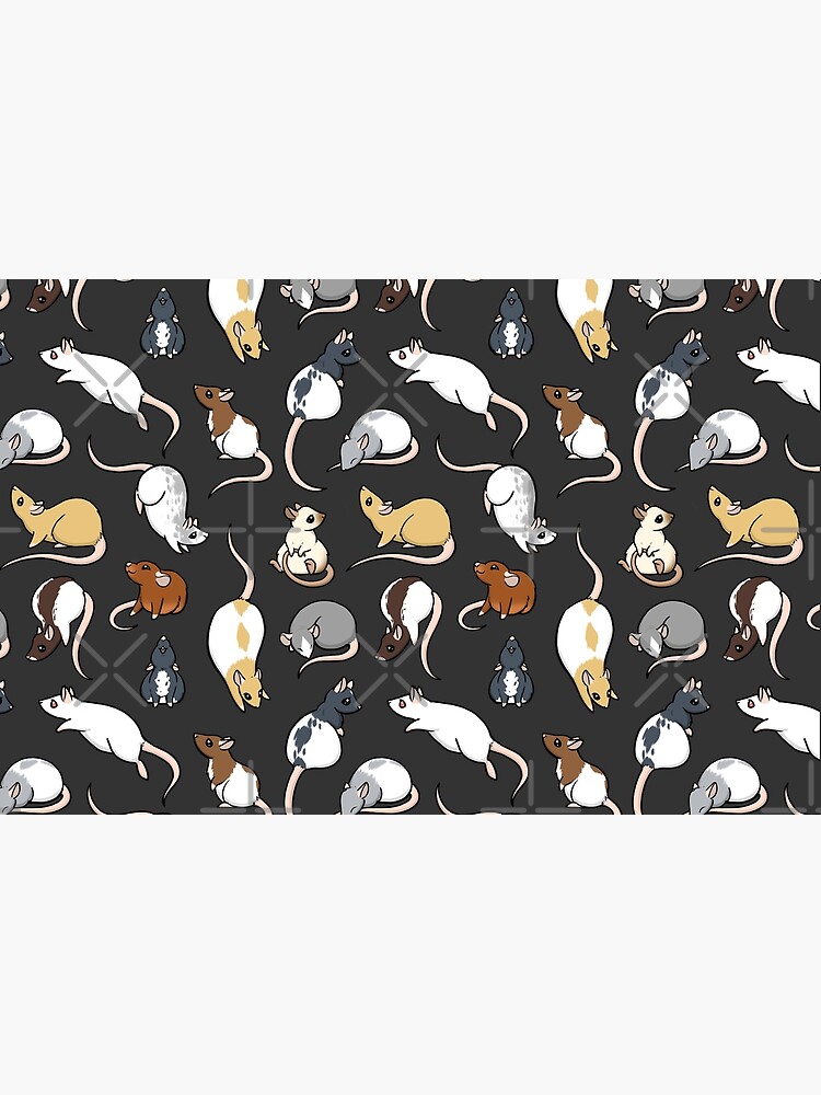 Rats by bgolins