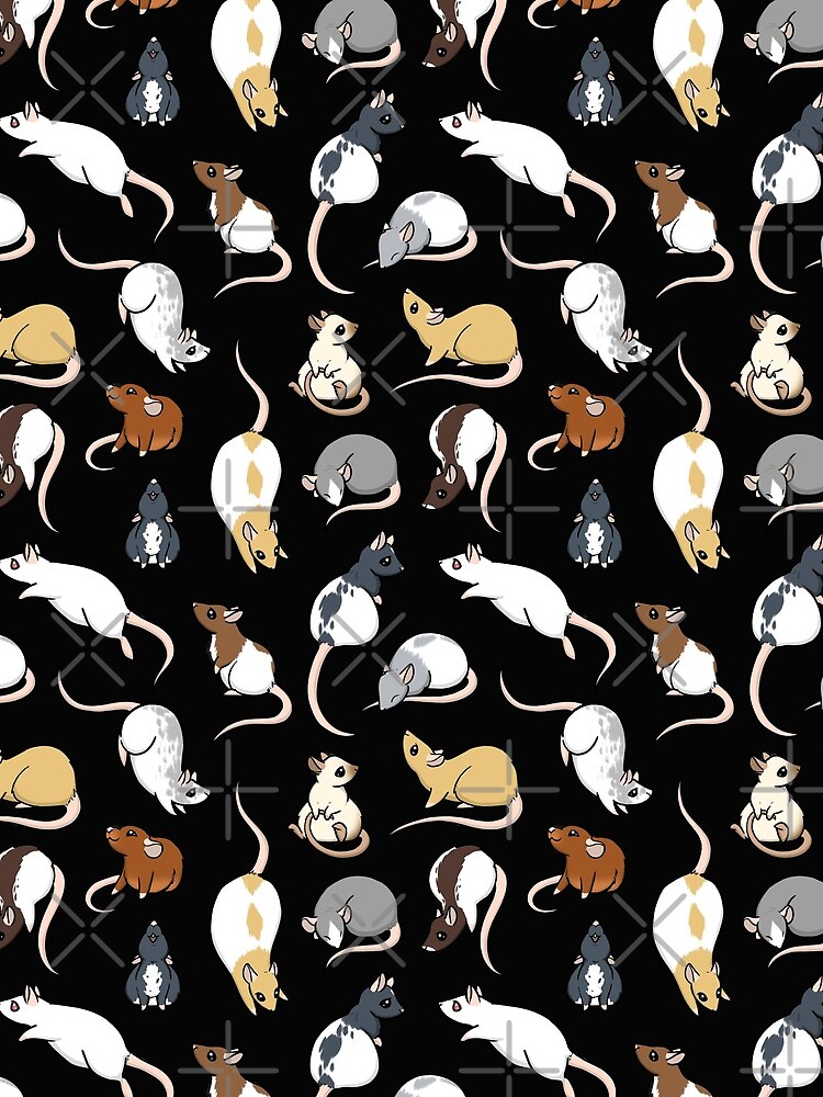 Rats by bgolins