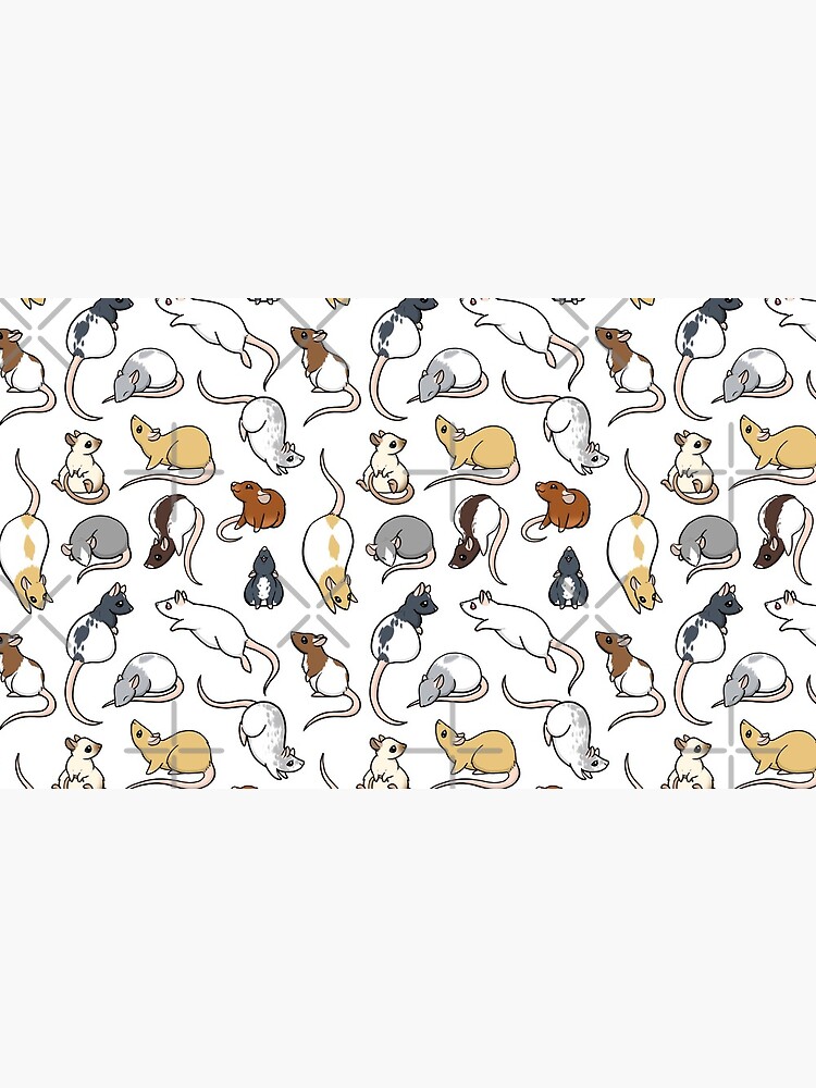 Rats by bgolins