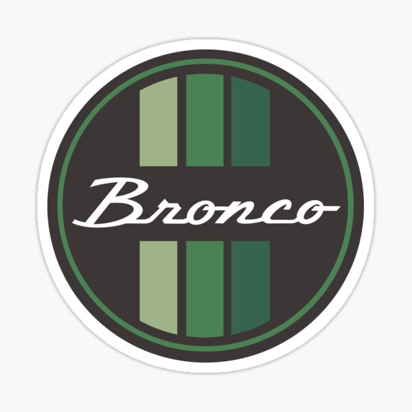 Bronco 2021, Bronco Enamel Mug, Bronco Never Broke My Heart, Bronco Gift,  Bronco Enthusiasts, Bronco Gift Ideas, Bronco Birthday Gift