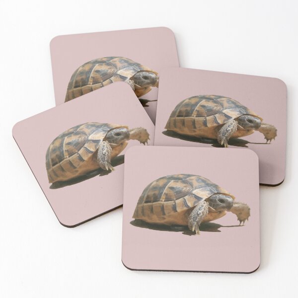 Item preview, Portrait of a Young Wild Tortoise Isolated designed and sold by taiche.