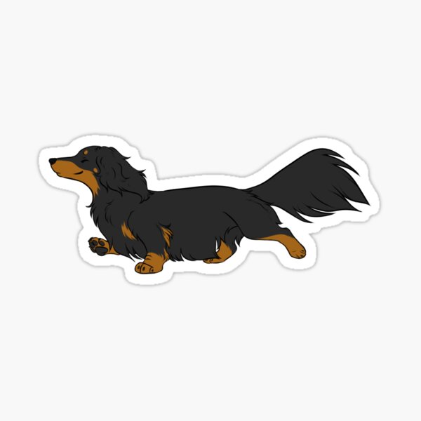 Long haired shop dachshund gifts