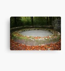 Autumn in Coole Park Canvas Print