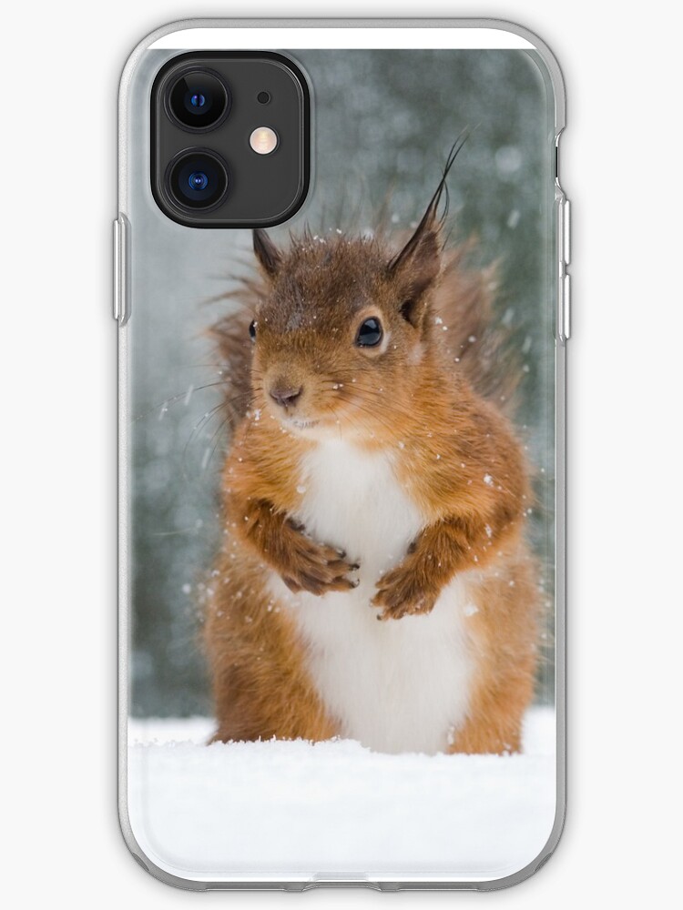 Squirrel iphone 11 case Squirrel iphone 11 case