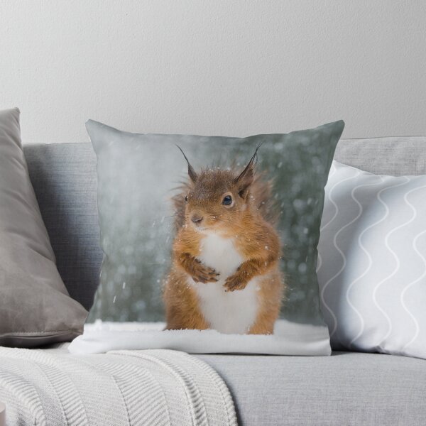 Item preview, Red Squirrel in the Snow designed and sold by Nigel Tinlin.
