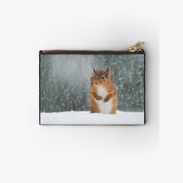Item preview, Red Squirrel in the Snow designed and sold by Nigel Tinlin.