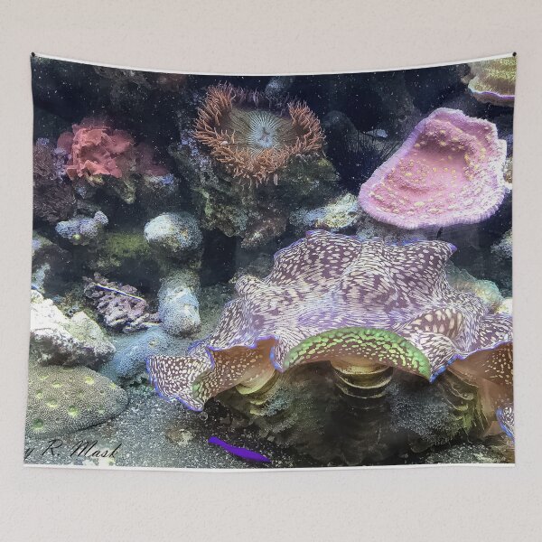 Item preview, Marine Invertebrates designed and sold by Jeffrey Mask.