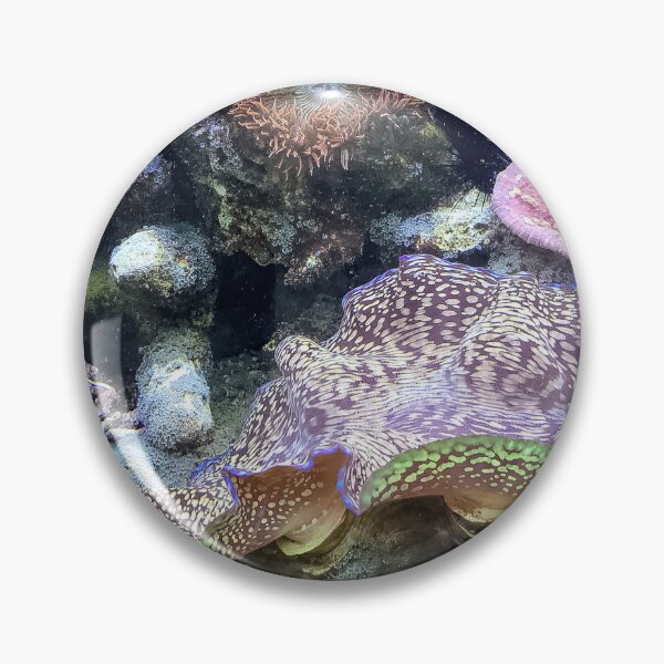Item preview, Marine Invertebrates designed and sold by Jeffrey Mask.