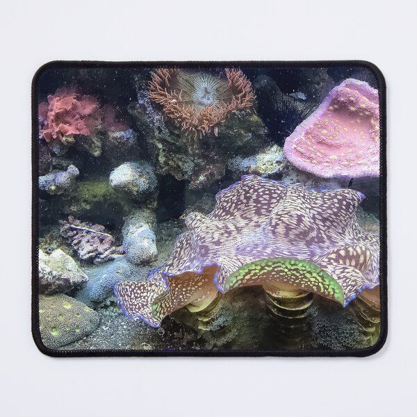 Item preview, Marine Invertebrates designed and sold by Jeffrey Mask.