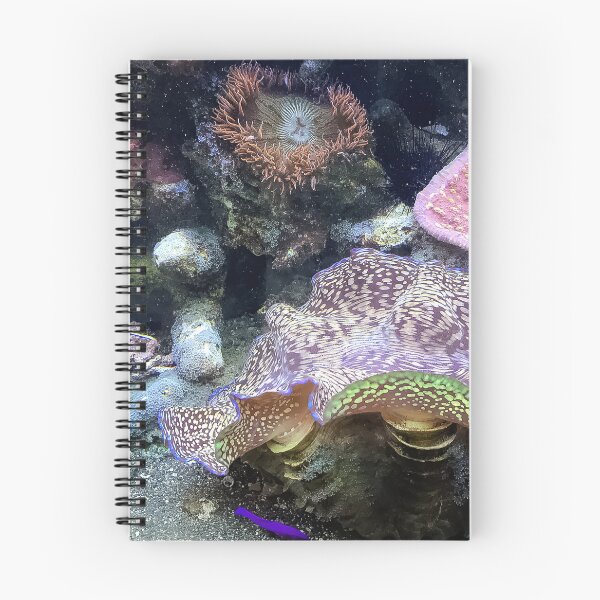 Item preview, Marine Invertebrates designed and sold by Jeffrey Mask.
