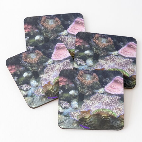 Item preview, Marine Invertebrates designed and sold by Jeffrey Mask.