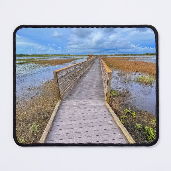 Item preview, Bird Walk Myakka designed and sold by Jeffrey Mask.