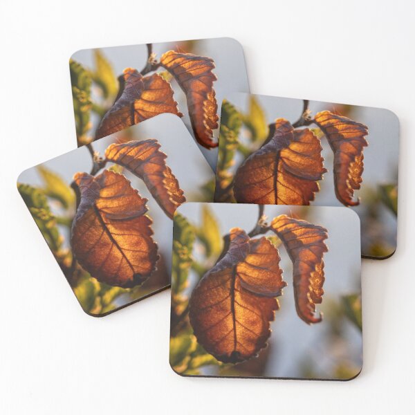 Item preview, Backlit Golden Leaf designed and sold by jecphotography and art.