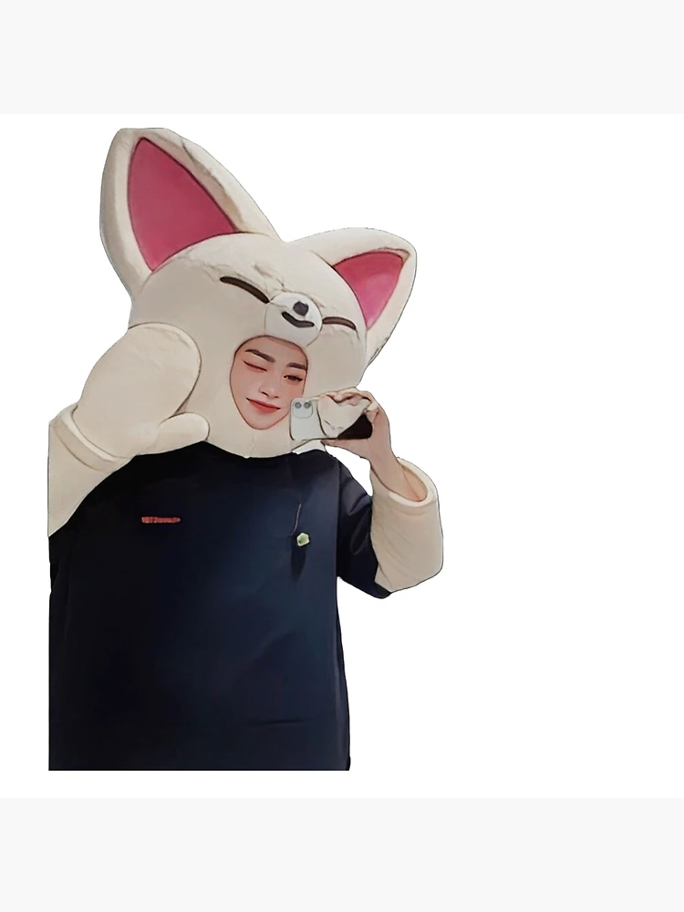 【新品未使用】 Stray Kids　FoxI.Ny　I.N Stray Kids Skzoo I.N Foxl.Ny Official Plush Doll Stuffed Toy