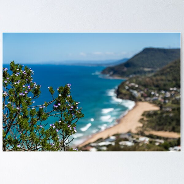 Item preview, The Illawarra designed and sold by thommo69.