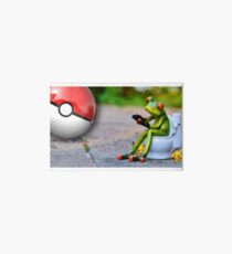T-Shirt Frog in Toilet and Pokeball Funny Art Board