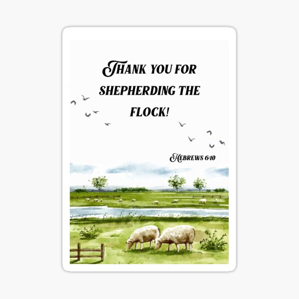 12 Large Stickers, Sheep Appreciation, Elder Appreciation, Gratitude, for  Gift Wrapping, Jw Gifts, Jw Life, Congregation, Cute, Spanish 