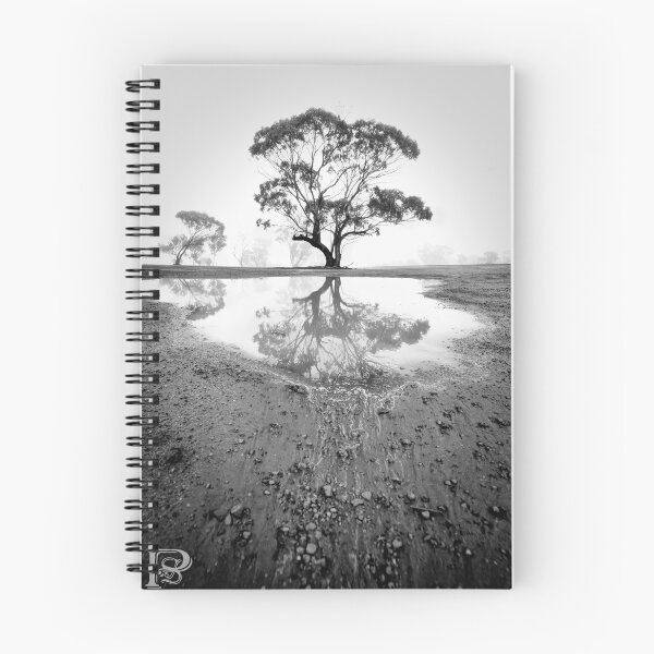 Item preview, Reflected  designed and sold by Pene Stevens.
