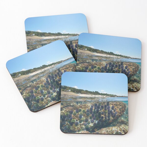 Item preview, Beach and sea urchins underwater coast of Galicia in Spain designed and sold by Seaphotoart.