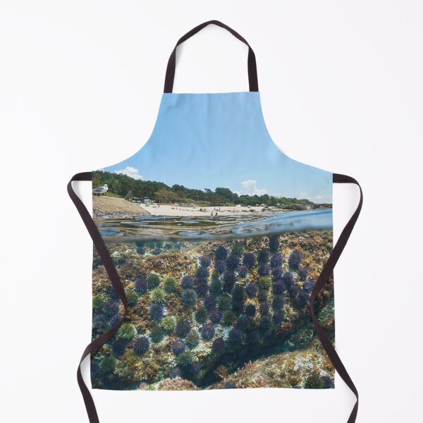 Item preview, Beach and sea urchins underwater coast of Galicia in Spain designed and sold by Seaphotoart.