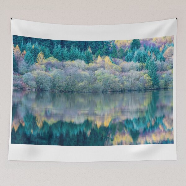 Item preview, Trees reflected in Llwyn Onn Reservoir in the Brecon Beacons National Park designed and sold by Cameranick.