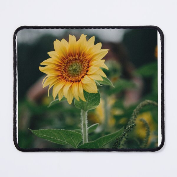 Item preview, This is showing Open Sunflower designed and sold by Harshly.