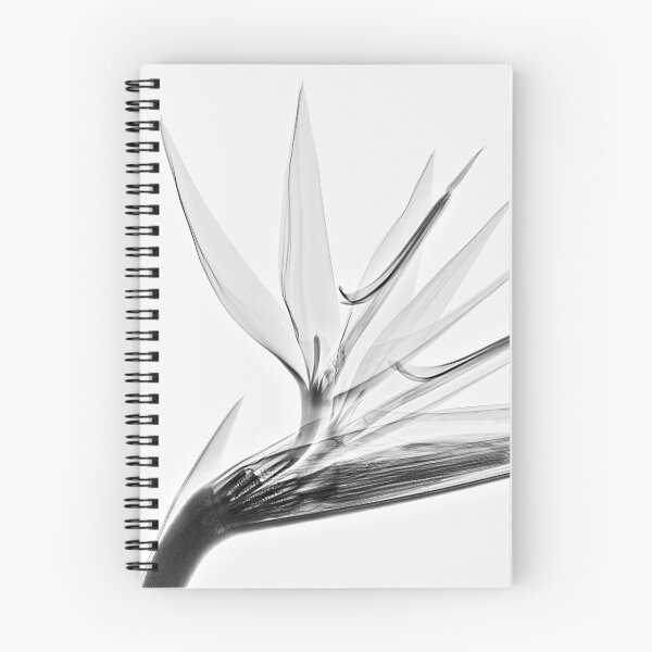 Item preview, Flower in black and white, Strelizia designed and sold by Lanuma.