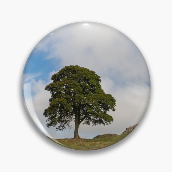 Item preview, Sycamore Gap, Northumberland designed and sold by HAPhotography.