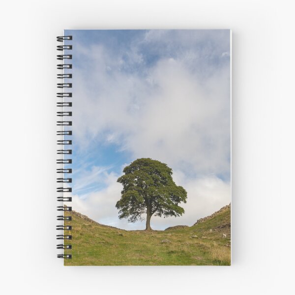 Item preview, Sycamore Gap, Northumberland designed and sold by HAPhotography.