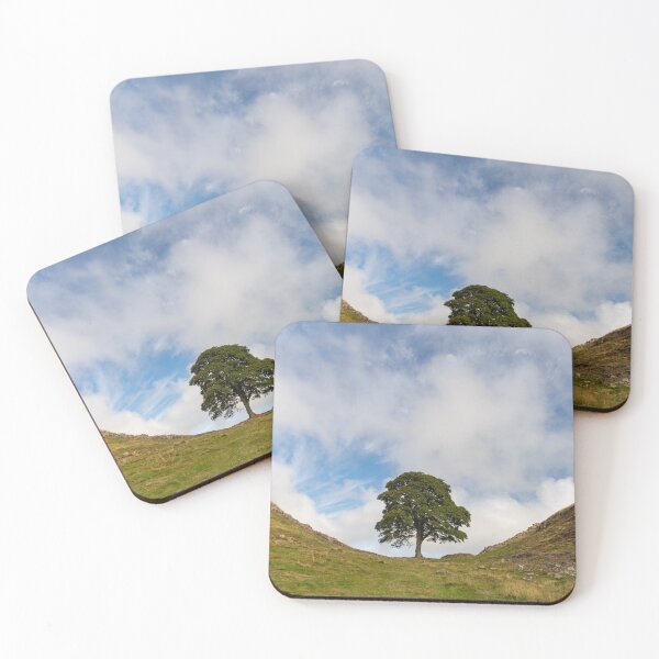 Item preview, Sycamore Gap, Northumberland designed and sold by HAPhotography.