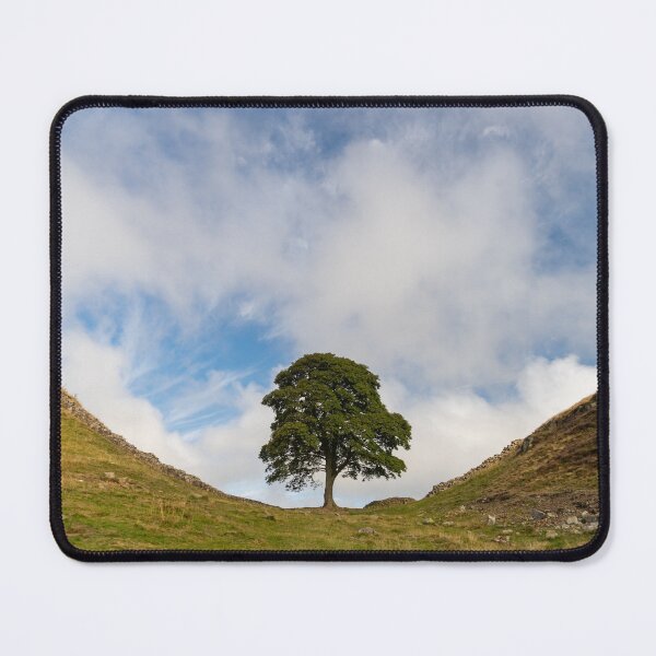 Item preview, Sycamore Gap, Northumberland designed and sold by HAPhotography.
