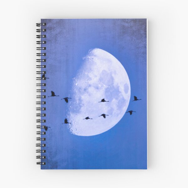 Item preview, The Moon Sees Cranes Leave 2 designed and sold by Taina Sohlman.