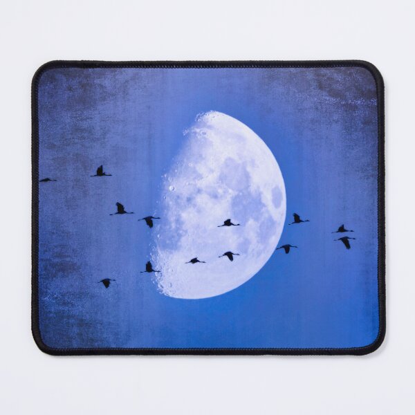 Item preview, The Moon Sees Cranes Leave 2 designed and sold by Taina Sohlman.