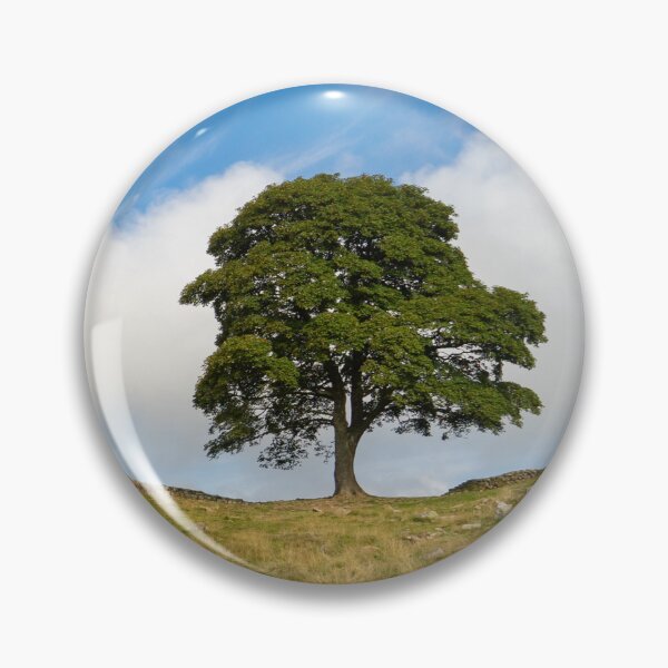 Item preview, Sycamore Gap, Hadrian's Wall, UK designed and sold by HAPhotography.