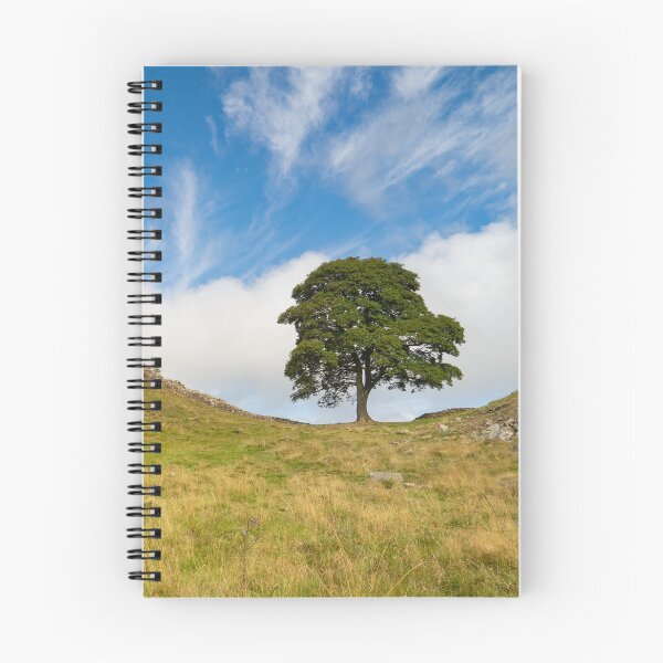 Item preview, Sycamore Gap, Hadrian's Wall, UK designed and sold by HAPhotography.