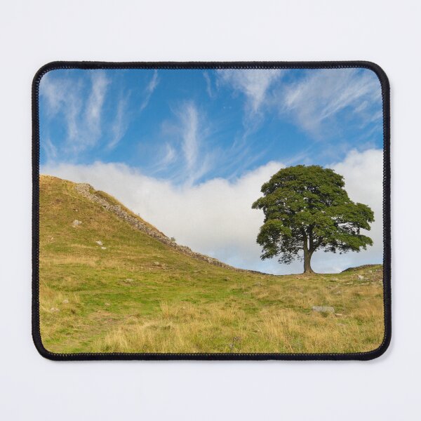 Item preview, Sycamore Gap, Hadrian's Wall, UK designed and sold by HAPhotography.