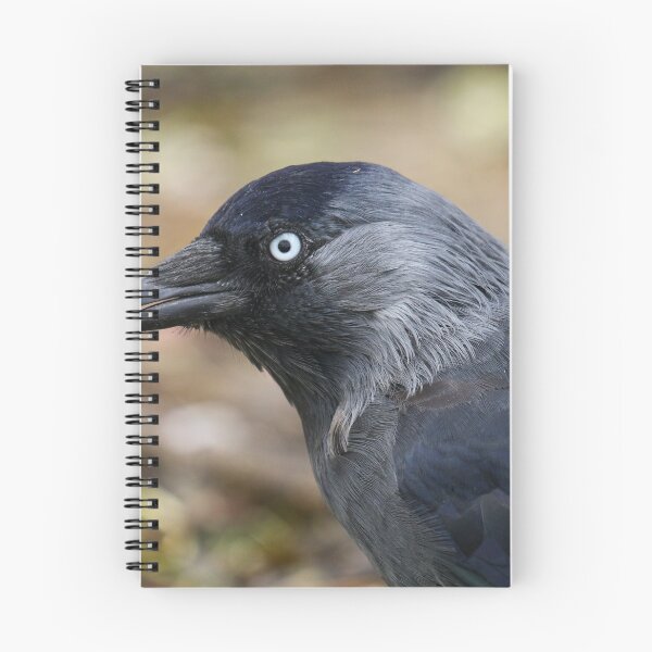 Item preview, Catching grubs designed and sold by GreyFeatherPhot.