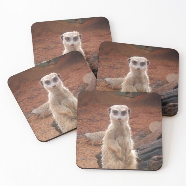 Item preview, Meerkat designed and sold by rapplatt.