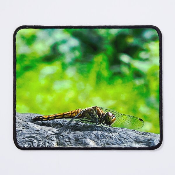 Item preview, Resting Dragonfly designed and sold by Heian Owl.
