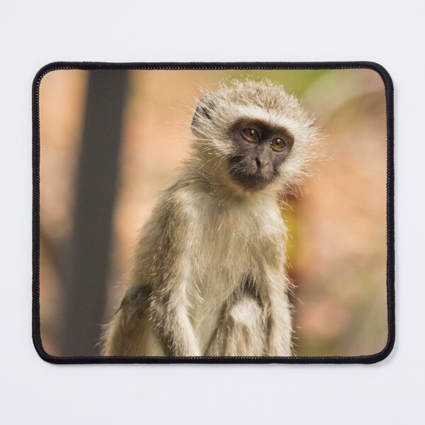 Item preview, Monkey on the Terrace designed and sold by Viv Thompson Photography .