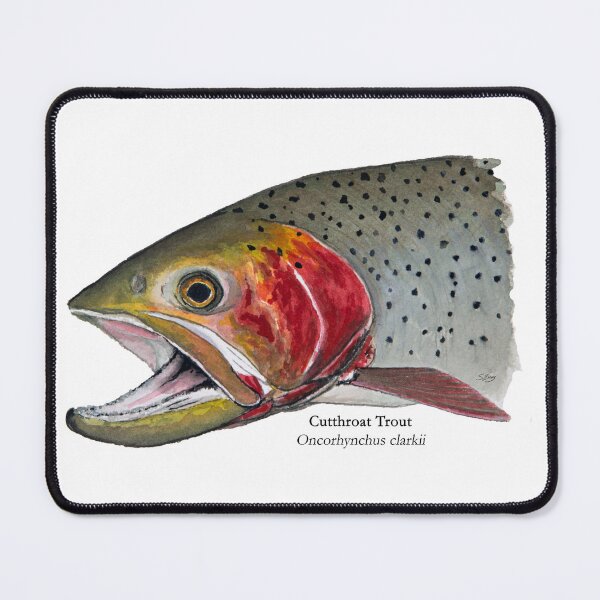 Item preview, Cutthroat Trout Head Painting designed and sold by Stephen Emms.
