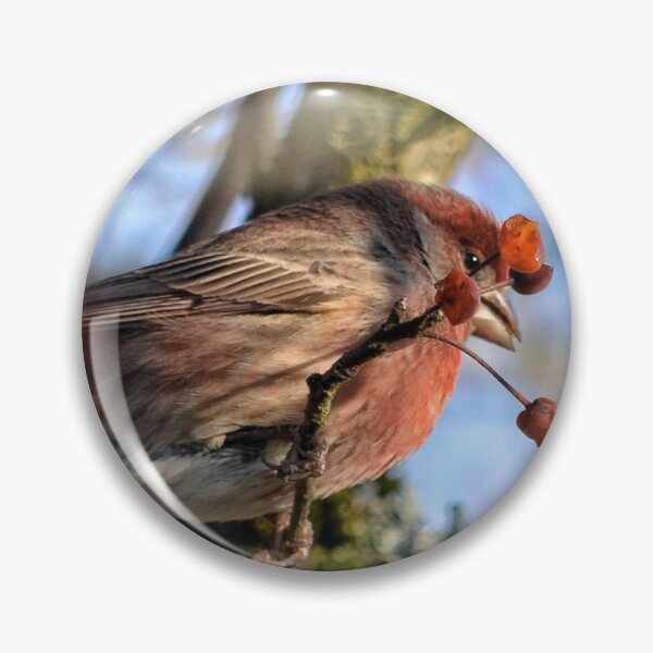 Item preview, (Out-of-the-) House Sparrow designed and sold by Amber Graham (grahamedia).