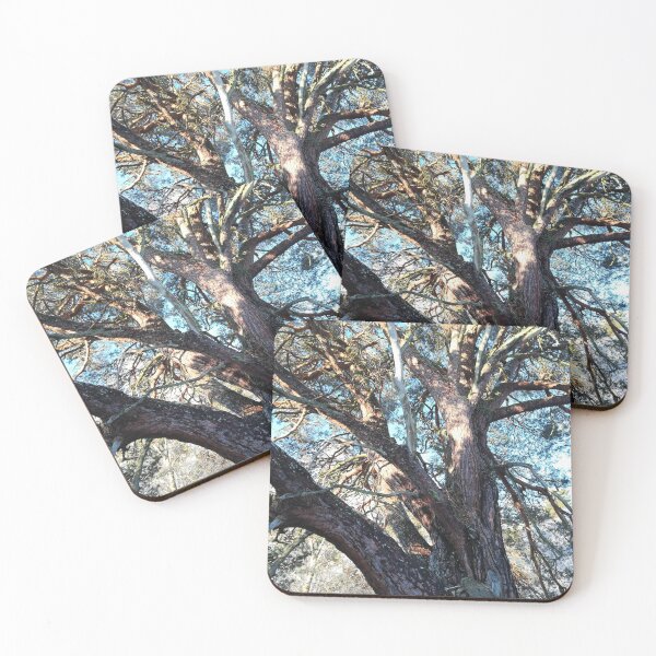 Item preview, Winter tree in sunshine  designed and sold by esvb.