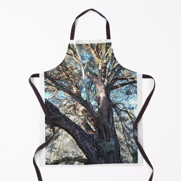 Item preview, Winter tree in sunshine designed and sold by esvb.