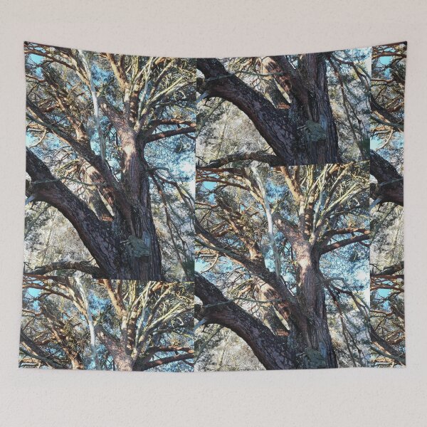 Item preview, Winter tree in sunshine  designed and sold by esvb.