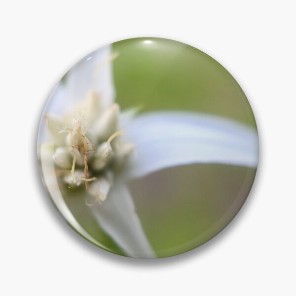 Item preview, White Star designed and sold by Jason Tompkins.
