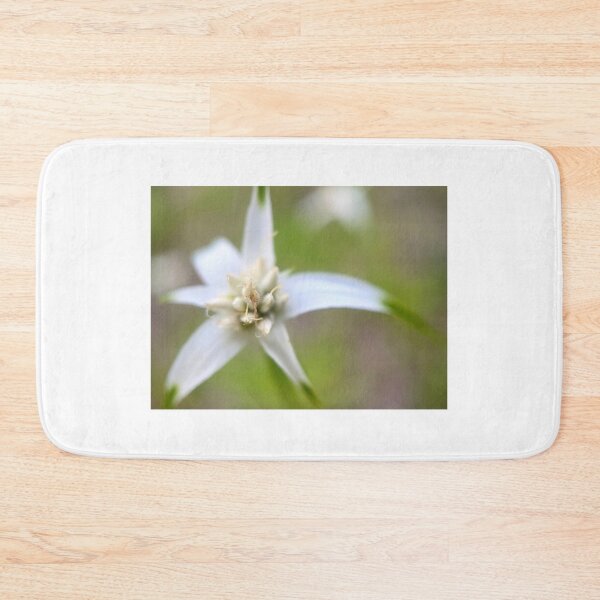 Item preview, White Star designed and sold by Jason Tompkins.